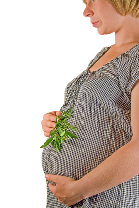 Pregnancy and Herbal Medicine